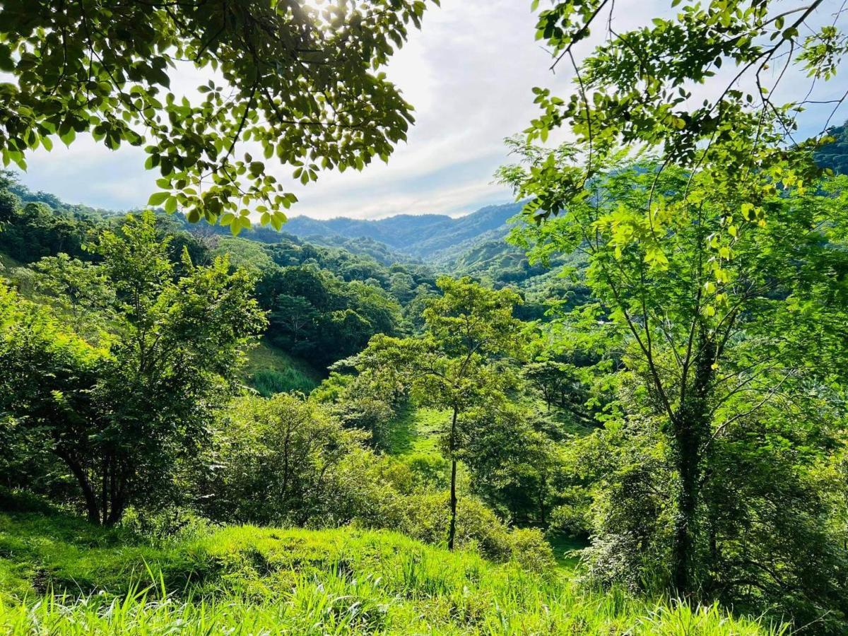 Cabana Tolle Vista Savegre 外观 照片